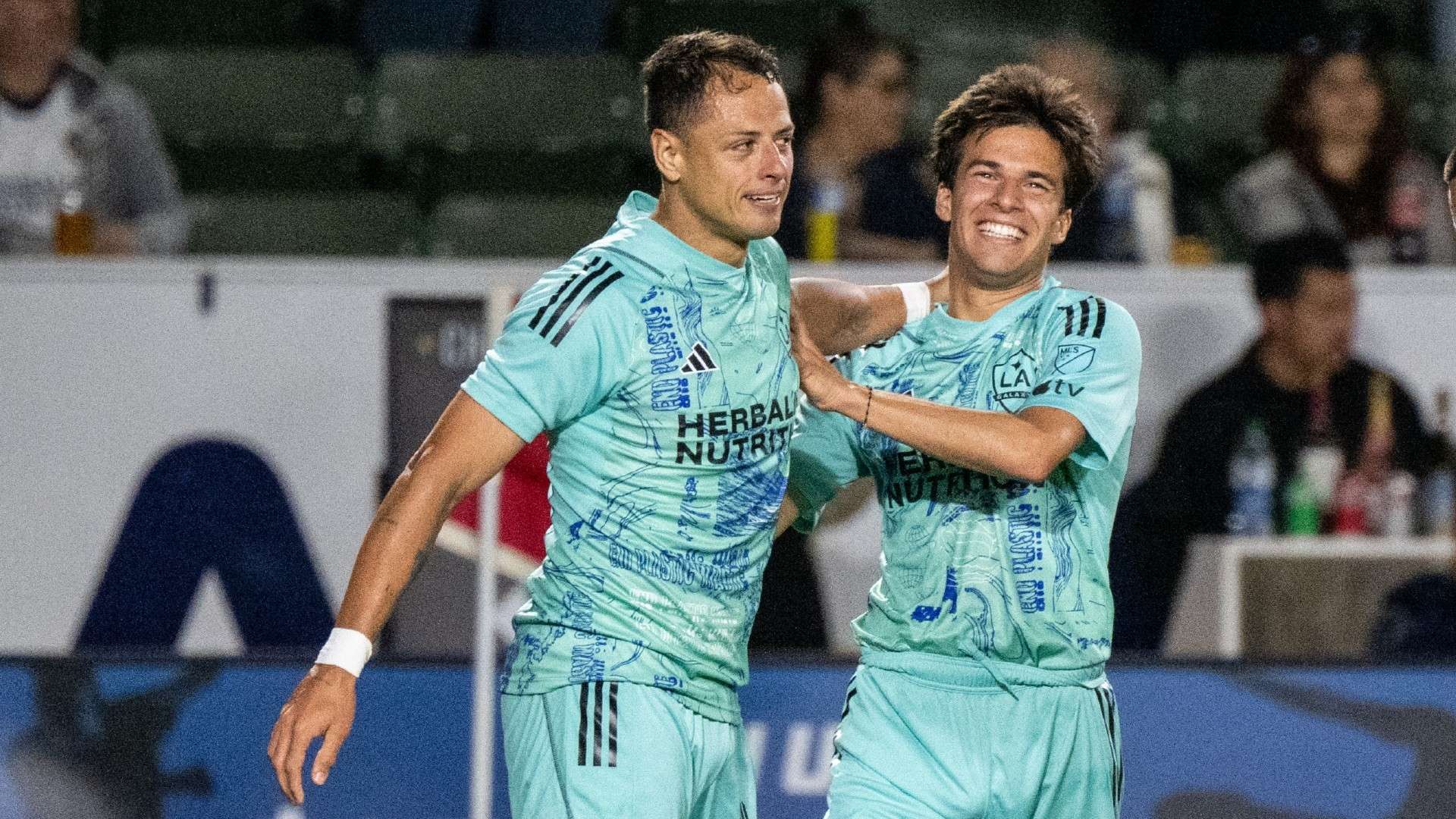 塞洛的引进 塞洛的引进