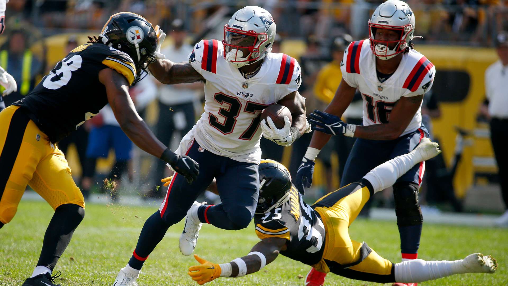 以其独特的 以其独特的